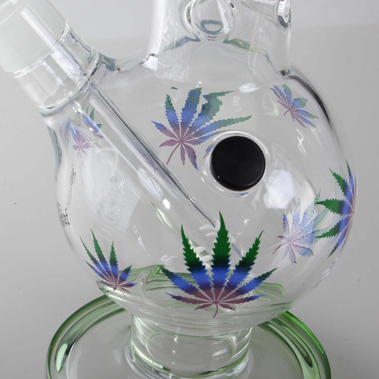 Black Leaf Icebong GREEN-PURPLE LEAVES